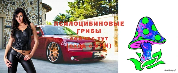 бошки Арсеньев