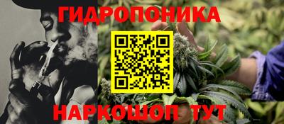 мдпв Обнинск