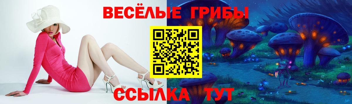 купить наркоту  Галлюциногенные грибы MAGIC MUSHROOMS  Вход с VPN  Тихвин 